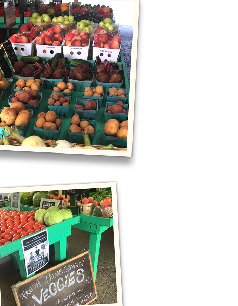 Pick Your Own Strawberries and Flowers at Paulus Farm Market