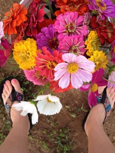 Fresh-cut flowers!